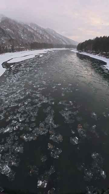 Алтай