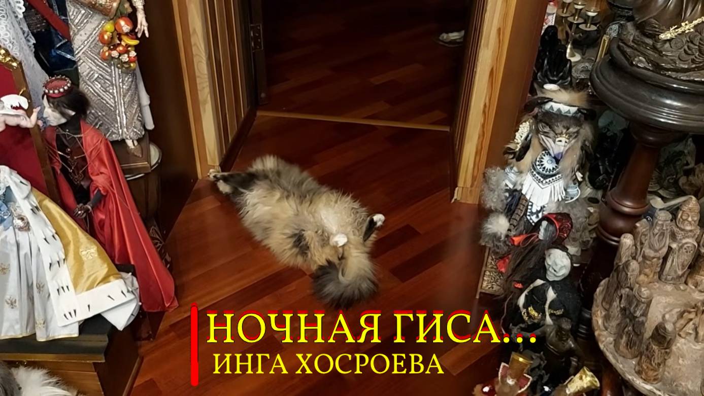 НОЧНАЯ ГИСА...ИНГА ХОСРОЕВА