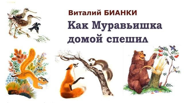 Сказка "Как Муравьишка домой спешил" (автор В.Бианки) - Слушать