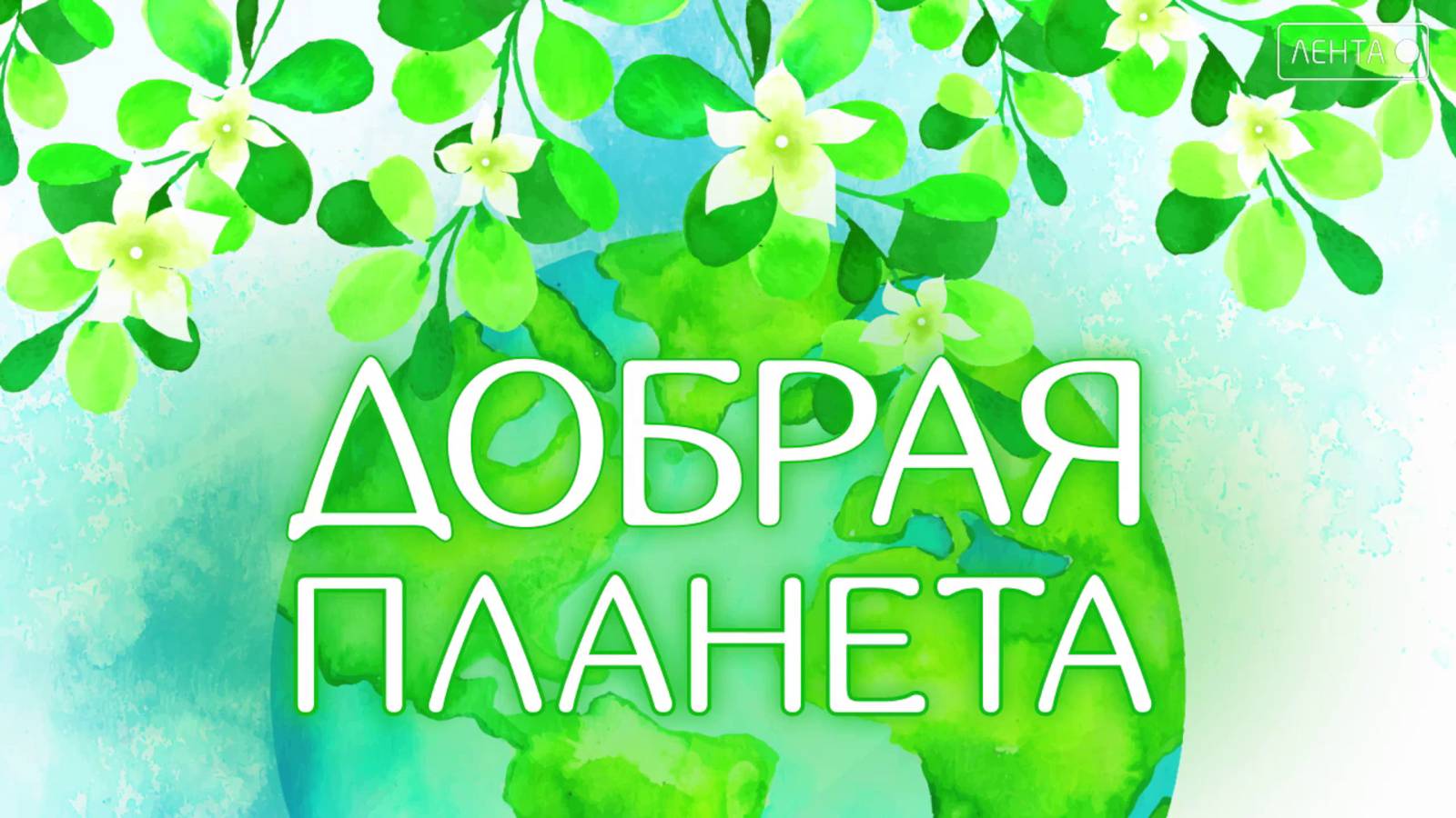 Добрая планета. Сдавать кровь – это почётно