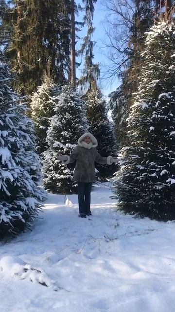 Я стою среди ёлок.