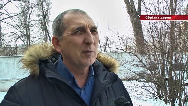 Обрізка дерев