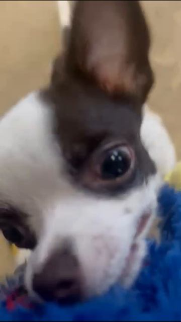 1000009897.mp4