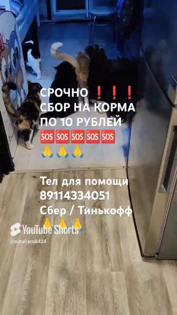 ЧЕЛОВЕК ПОМОГИ 🙏🆘