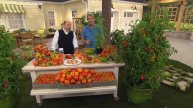Cottage Farms 2-in-1 Grafted Pork Chop & Carmello Giant Tomato with Dan Wheeler