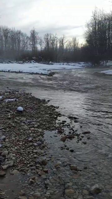 река Курджипс в декабре