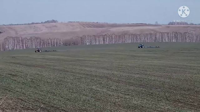 Начало сезона 2021. Удобрение и боронование.