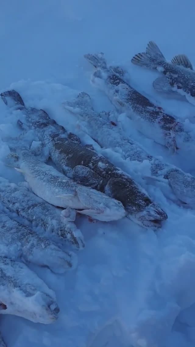 Чуть не уплыли, но рыбалка удалась!