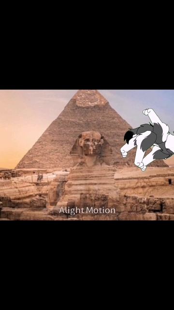 scene_output.mp4