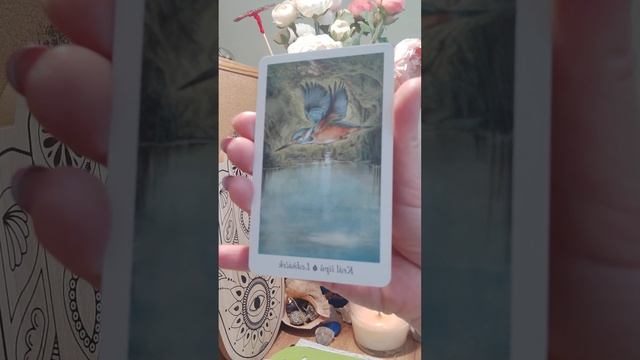 Водолей ♒ апрель 2023 года Таро предсказание #таро #предсказание #таро #водолей