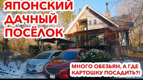 Дачный посёлок в Японии: А где картошка с помидорами