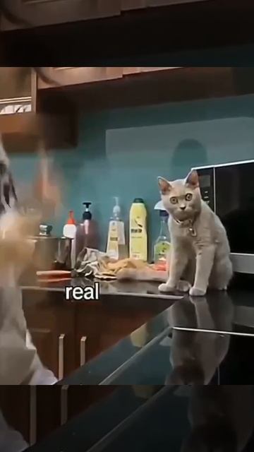 мысли в слух: )