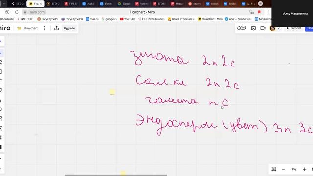 BioTeach Разбор 3 линии задач ЕГЭ биология
