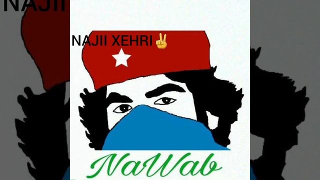 Ay luma wathan/meer ahmed baloch
