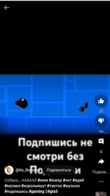 подпишись если сможешь убежать
от собаки 🐶