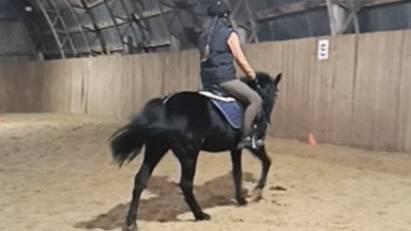 Вика и Наоми, разворот. Онлайн тренировка. #horse #equestrian #лошади #pony