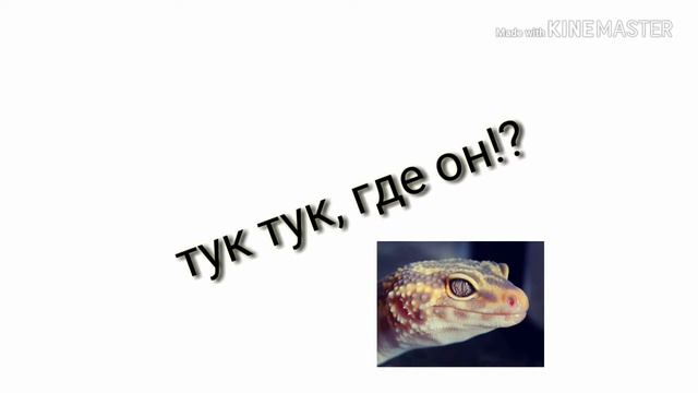 Канал ,,Эублефар ТВ"