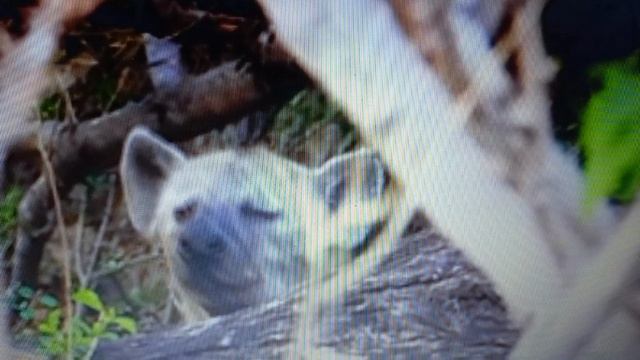 первое впечатление о человеке обманчивое