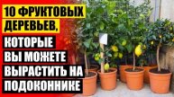МИНИ ДЕРЕВЬЯ КУПИТЬ В МОСКВЕ ⚫ МИНИ МАНДАРИНОВОЕ ДЕРЕВО