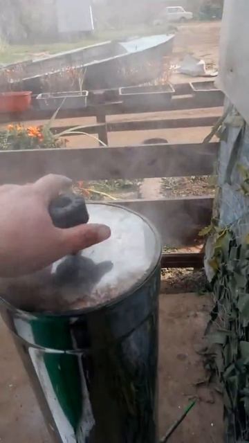 Холодное копчение(1)