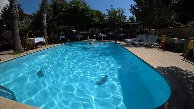 Анталья отель Blue Sea Garden бассейн
