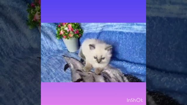 любимый малыш🤗