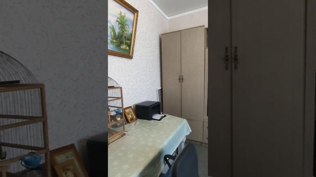 VID_20250209183516.mp4