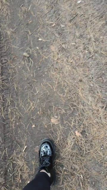 lv_0_20250203232538.mp4