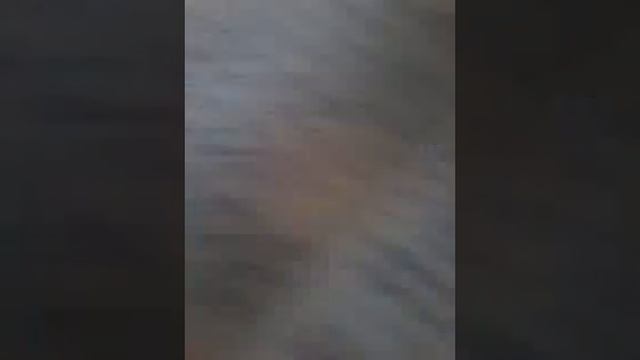 23 марта 2018 г.