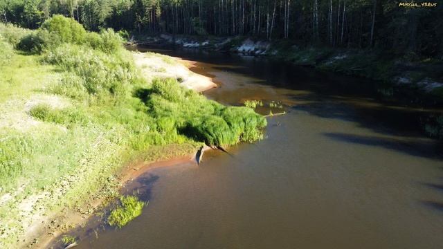 р.Большая Кокшага#респ.Марий Эл