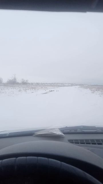 Какая красота
