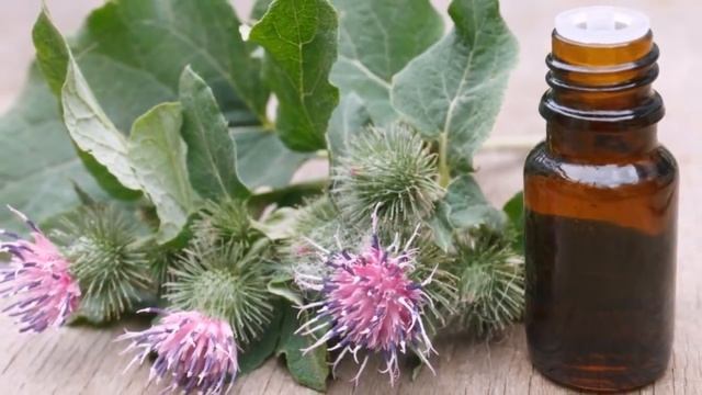 Киприкларни 15 Кунда Узун Ва Калин Устирувчи Супер Мой ...