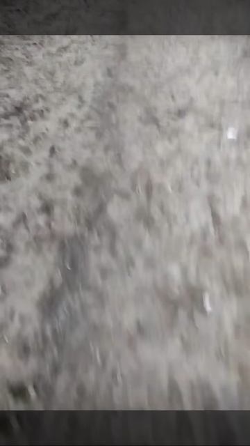 1000046295.mp4