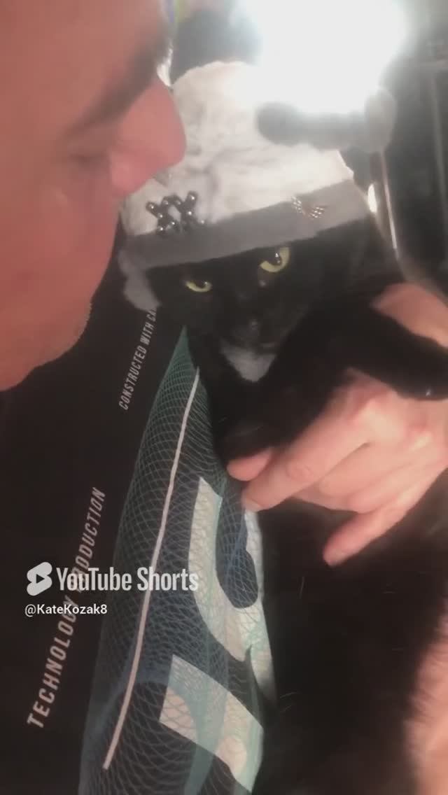 🐈_⬛Хозяину все можно! Маркус любимый кот мужа🫶🤪🤷_♀️#catshorts