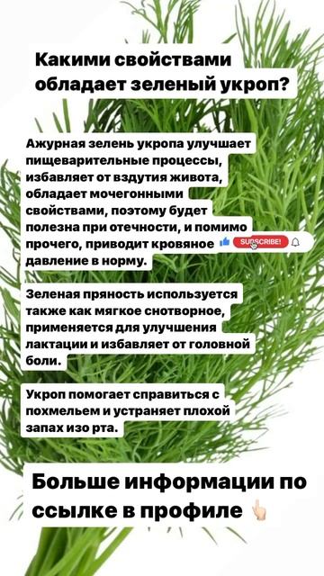 Какими свойствами обладают зелёный укроп? #укроп #микроэлементы  #вздутие #здоровье #кишечник