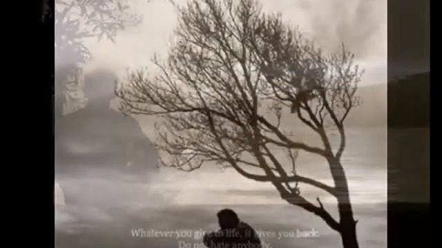 assamese video song powa nai from album millijuli