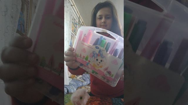 VID_20250209_154523.mp4