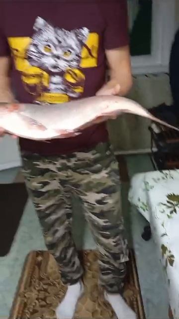 09-02-2025