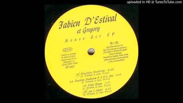Fabien D'Estival et Gregory - Am I Liked [SV00A]