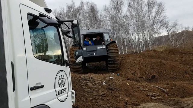 3 ноября 2018 г.