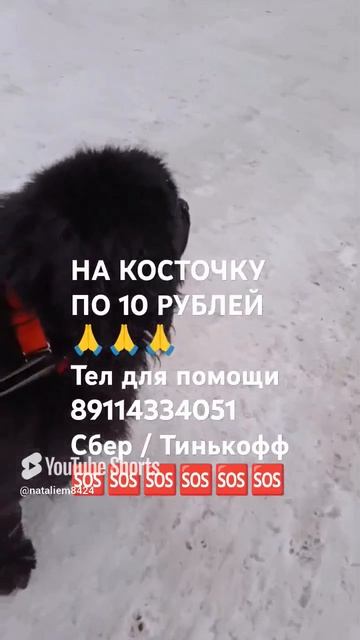 ЧЕЛОВЕК ПОМОГИ 🙏🆘