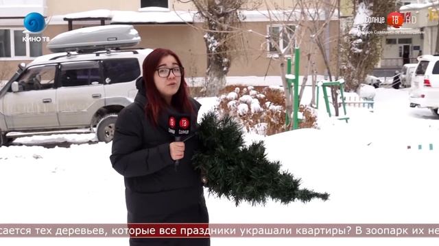 14.01.2021 Как сахалинцы избавляются от новогодних ёлок