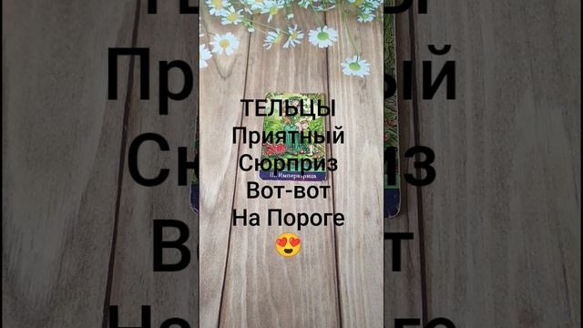 #ТЕЛЬЦЫ ПРИЯТНЫЙ СЮРПРИЗ ВОТ-ВОТ СЛУЧИТСЯ 💖😍❤️#ГаданиеНаБудущее #ТароГадание #Таро