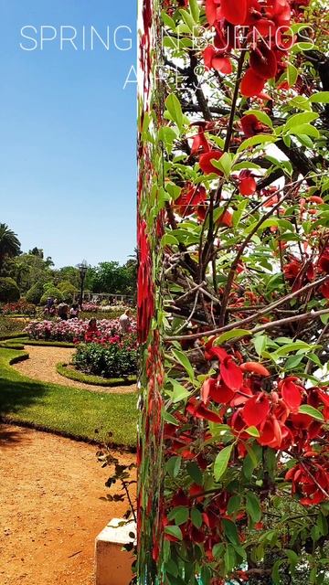 Spring in Buenos Aires.