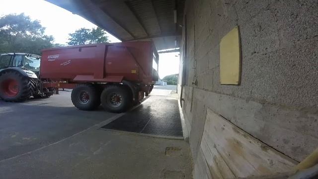 Raps dreschen mit Fendt Vario 714 und Claas Dominator