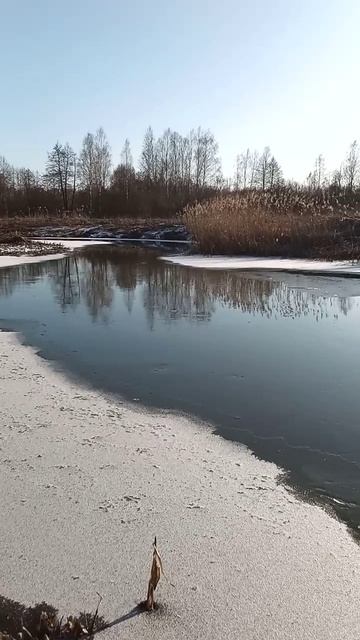 Зимнее течение реки в солнечный февральский день