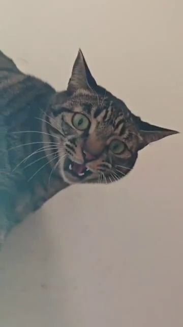 Когда которасчёты немного подвели