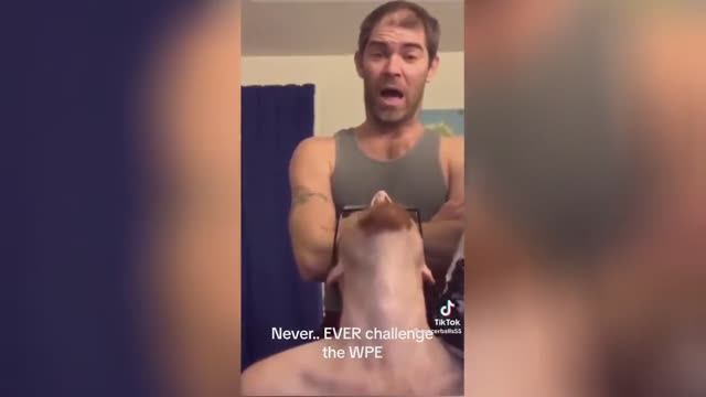 Best video of Tik Tok! 08.02.25 / 09