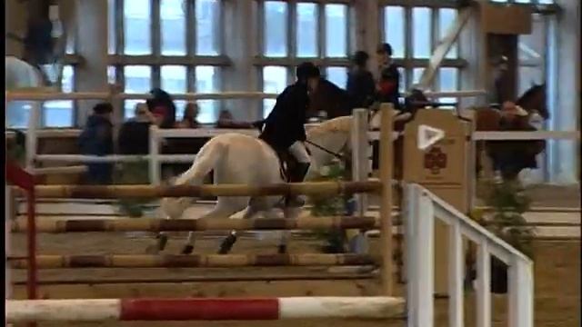 Springreiten Showjumping Obersiebenbrunn Marchfeldcup Matthias Eckmayer L-Springen Sonntag Stechen