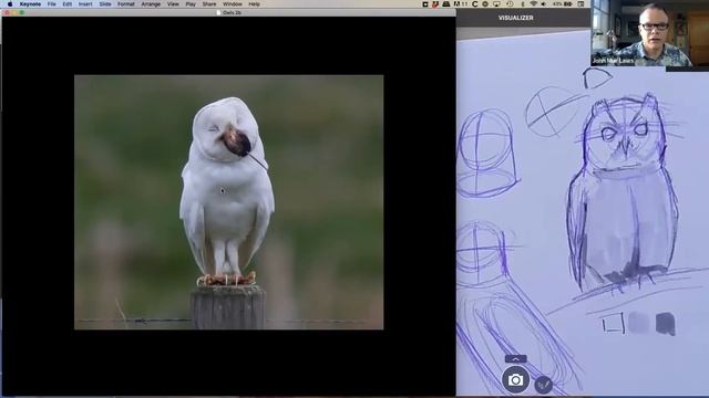 How to Draw Owls with John Muir Laws (Part 2 of 2)